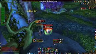 WoW 7.3.5 Gilarr PvP Feral Druid