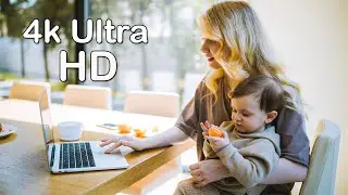 4k Video Ultra HD-Work From Home Stock Footage (60Fps) - spectrum wifi-charter internet