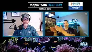 Rappin' With ReefBum: Guest - Luca Martino, Mahina Corals