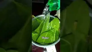 simple mango leaf juice #shorts