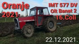 IMT 577 DV Oranje 2021