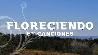 BLOSSONGS - Documentary (English Subtitles)