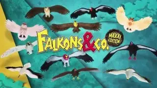 Falkons&Co Maxxi Edition