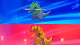 How to Evolve Fraxure into Haxorus - Pokemon Sword and Shield