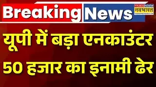 UP Encounter News: Shamli में डकैतों और पुलिस के बीच मुठभेड़, 50 हजार का इनामी बदमाश ढेर | Breaking