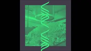 Eco-Luxe 1