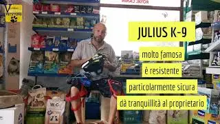 I vari tipi di pettorine - Scopri il modello ideale per il tuo cane