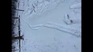 My First Time Snow Surfing on a Fat Bike
