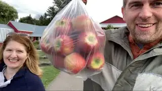 USA Today 2021 Best Orchard! At Beak & Skiff in Lafayette, NY picking apples!