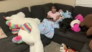Snuggle buddies❤️