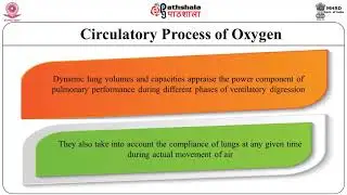 Cardio-respiratory dynamics and physical work