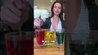 DIY Color Changing Flower Experiment 🌸