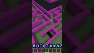 I build minecraft most Mind blowing mazes #lockdownlife #minecraft #shorts #fypviral #fypシ゚viral