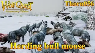 How to herd bull moose (tutorial in captions) || WolfQuest Anniversary Edition