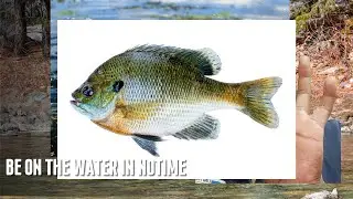 #2025  DIY Fishing Boat  Catch Big Fish, Save Big Bucks!