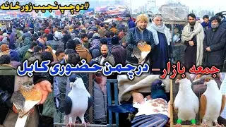 جمعه بازار چمن حضوری کابل - #دوچپ بازار | کفتر های کمیاب |  Pigeon Lovers Kabul | Latest update