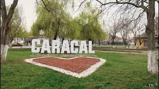 Exclusiv &icirc;n Rom&acirc;nia: Povestea &bdquo;căruţei cu proşti&rdquo; răsturnată la Caracal (@TVR1)