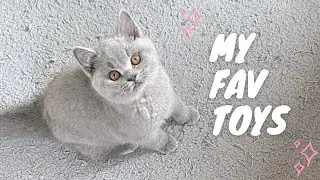 Top 5 toys for Kittens | Chubby Boba Cat