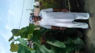 AMERICAN TEAK LGAKAR FAMER BAHUT KHUSH IN PUNJAB. 9915338787