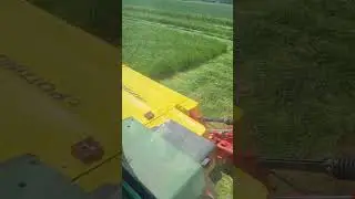 Fendt 306LS mowing