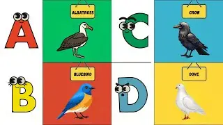 ABC Birds for Kids | Learn Alphabet with Birds | Fun ABC Learning Video