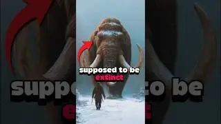 These Prehistoric Animals Are STILL Alive Today😱#prehistoric animals #living fossils #ancientanimals
