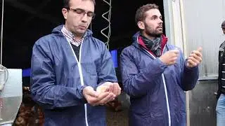 Visite pédagogique d'un élevage de chapons Label Rouge en Occitanie