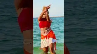 Mai pani pani ho gayi Happy Holi #dubai #beach #nature #holi #festival #india #dubai #parrot