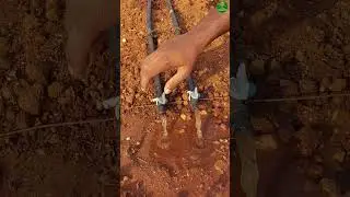 New idea!👌🏻drip irrigation tips #drip #farming #agriculture #tips #short
