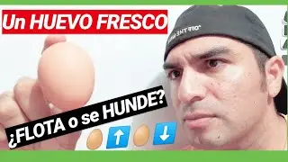 🔴¿Por qué un HUEVO FLOTA en AGUA SALADA?. (Explicación en menos de 5 MINUTOS).🤔🕛🕐⏱️🥚🥛