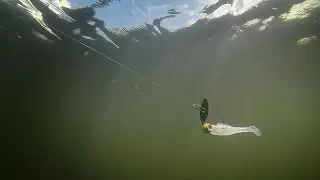 A Finesse-Style ChatterBait