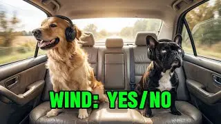 Why Car Rides Are the Best&hellip; or the Worst