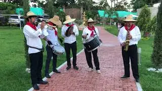 SANJUANERO HUILENSE PAPAYERA