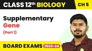 Supplementary Gene (Part 1) - Principles of Inheritance and Variation | Class 12 (2022-23)
