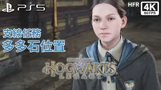 Местоположение Камня Додо — побочное задание Hogwarts Legacy