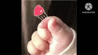 WhatsApp gif animation