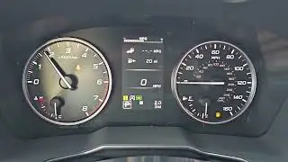 mpg and trip reset