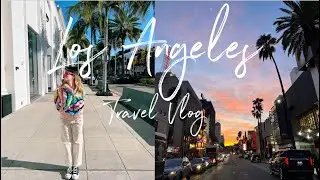Vi svelo perchè sono arrivata a Los Angeles! 🇺🇸🌴 Vlog parte 1