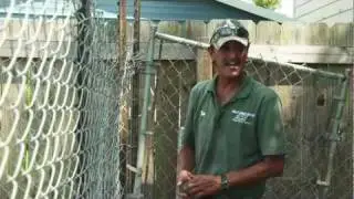 My Gulf - Moss Point, Mississippi: Gator Ranchin'