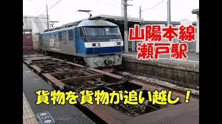 山陽本線　瀬戸駅　いろいろな列車を見る！　貨物列車を貨物列車が追い越しなんてあるんだ？！