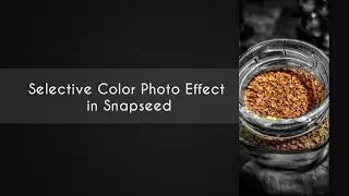 Selective Color Photo Effect in Snapseed | Mobile editing Tutorial