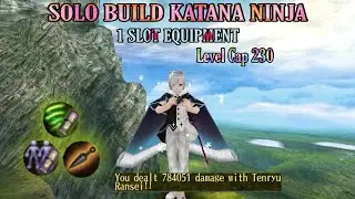 Toram Online - Katana Ninja Build Level 230 | 1 Slot Equipment (Solo/Party Build)
