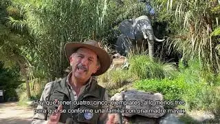 BUIN ZOO TE ACOMPAÑA EN CASA (Feliz cumpleaños Krugger) Parte 1