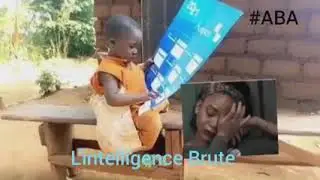 Compil L'intelligence du petit Harold.