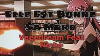 Vegedream Feat Ninho - Elle Est Bonne Sa Mère (TikTok Songs)