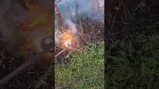 Burning unwanted grasses and weeds with propane torch