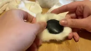 Hand sewingDIY kit tutorial