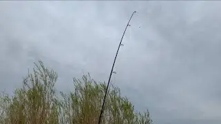 Fishing The Assiniboine River For Whatever  Bites (First Fishing Video Of The Year)