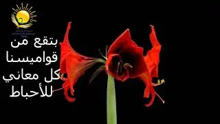من سلسلة المحبة_ Love series 2021