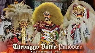 Jaran Kepang Massal Rewo - Rewo Turonggo Putro Pandowo 🔥 ● Live Sumberagung - Weleri